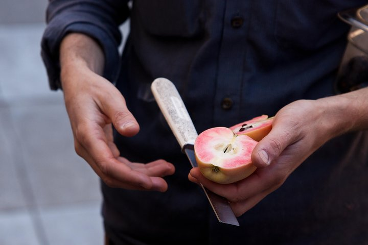 Mission District Culinary Experience with Alcohol Pairing